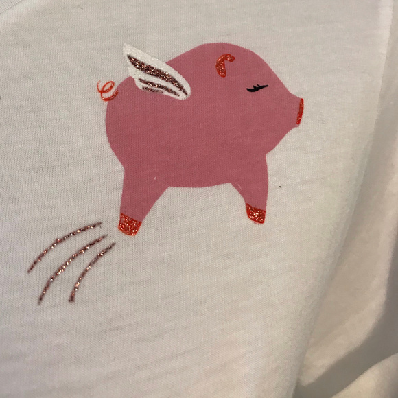 *SOLD* *Hard to Find* Flying Pig Tee *NWT* - Picture 3 of 6